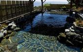 Туры в отель Miya Onsen Higaki Hotel