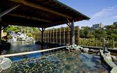 Туры в отель Miya Onsen Higaki Hotel
