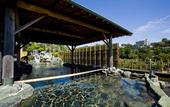 Туры в отель Miya Onsen Higaki Hotel