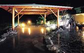 Туры в отель Miya Onsen Higaki Hotel