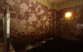 Туры в отель Sasai Hotel