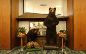 Туры в отель Sasai Hotel