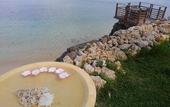 Туры в отель Hotel Oceans Nakijin