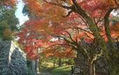 Туры в отель Hotel Sun Hitoyoshi