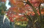 Туры в отель Hotel Sun Hitoyoshi