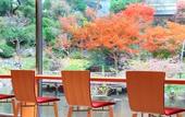 Туры в отель Hotel KAMOGAWASO