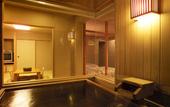 Туры в отель Shikotsuko Daiichi Hotel Suizantei