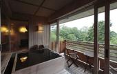 Туры в отель Shikotsuko Daiichi Hotel Suizantei