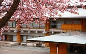 Туры в отель Shikotsuko Daiichi Hotel Suizantei