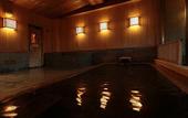 Туры в отель Shikotsuko Daiichi Hotel Suizantei