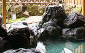 Туры в отель Shikotsuko Daiichi Hotel Suizantei
