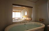 Туры в отель Shikotsuko Daiichi Hotel Suizantei