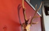 Туры в отель KAMP Houkan-cho Backpacker's Inn & Lounge - Hostel