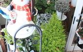 Туры в отель Pension Lavender