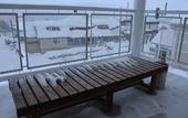Туры в отель Pension Lavender