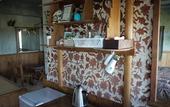 Туры в отель BUZZ RESORT