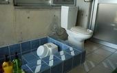 Туры в отель BUZZ RESORT