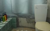 Туры в отель BUZZ RESORT
