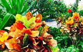 Туры в отель Ma-Blue Garden House