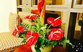 Туры в отель Ma-Blue Garden House