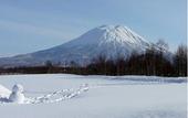 Туры в отель Hotel Resort inn Niseko