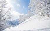 Туры в отель Hotel Resort inn Niseko