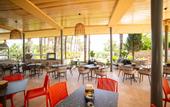 Туры в отель Rose Garden Premium Hotel