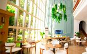 Туры в отель Rose Garden Premium Hotel