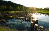 Туры в отель Sunrise Awaji