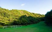 Туры в отель Sunrise Awaji