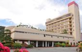 Туры в отель Hotel Hana Isawa