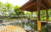 Туры в отель KAMENOI HOTEL AOMORI MAKADO