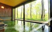 Туры в отель Hakkoda Hotel
