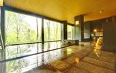 Туры в отель Hakkoda Hotel