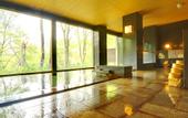Туры в отель Hakkoda Hotel