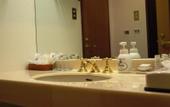 Туры в отель Hakkoda Hotel