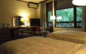 Туры в отель Hakkoda Hotel