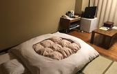 Туры в отель Hotel Edoya