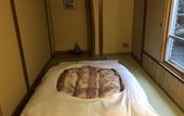 Туры в отель Hotel Edoya