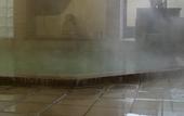 Туры в отель Kamesei Ryokan