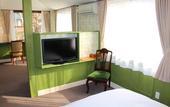Туры в отель Hotel WELLIES