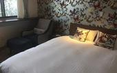 Туры в отель Hotel WELLIES