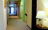 Туры в отель Hotel WELLIES