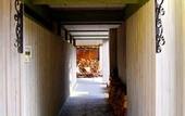 Туры в отель Hotel WELLIES