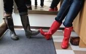 Туры в отель Hotel WELLIES