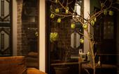Туры в отель Hotel WELLIES