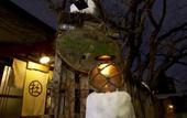 Туры в отель Otarunai Backpackers' Hostel MorinoKi