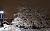 Туры в отель Otarunai Backpackers' Hostel MorinoKi