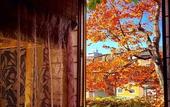 Туры в отель Otarunai Backpackers' Hostel MorinoKi