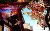 Туры в отель Otarunai Backpackers' Hostel MorinoKi
